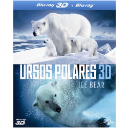Ursos Polares 3d