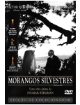 Morangos Silvestres - Edição de Colecionador (DVD)